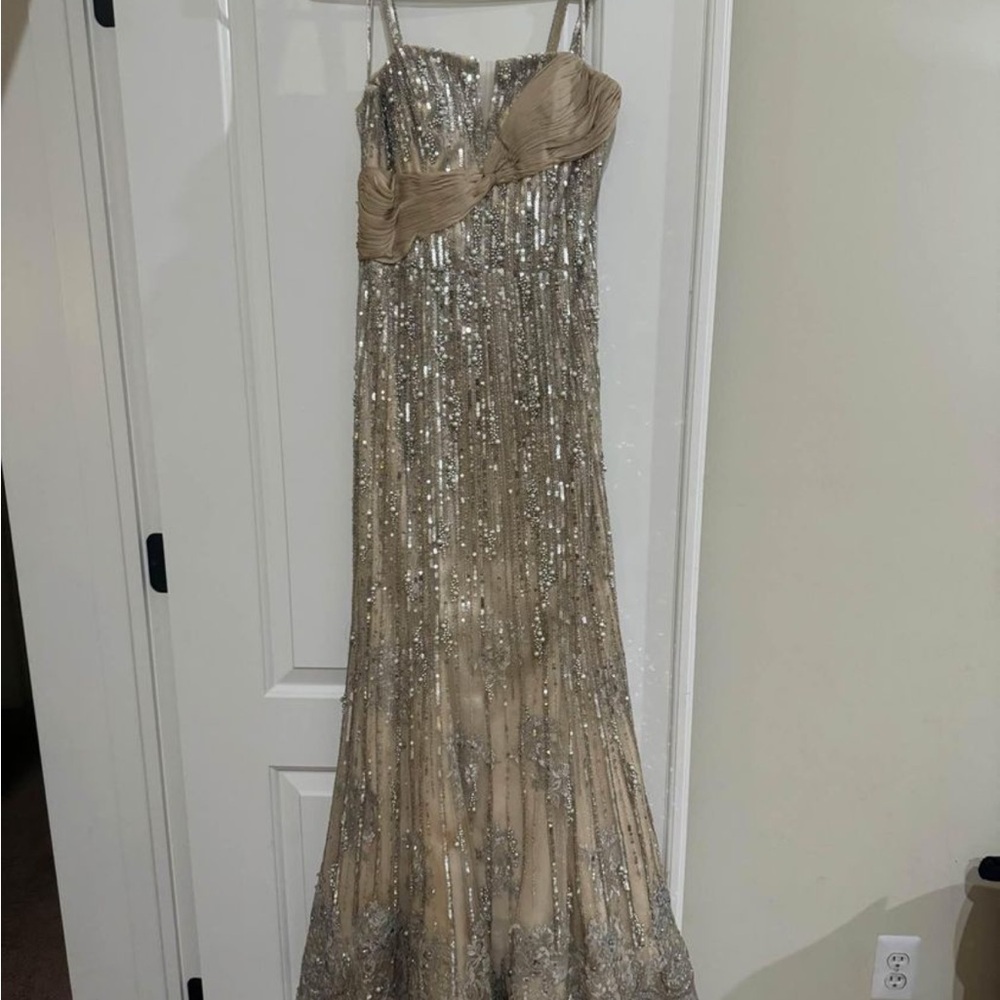 Beautiful Evening Gown